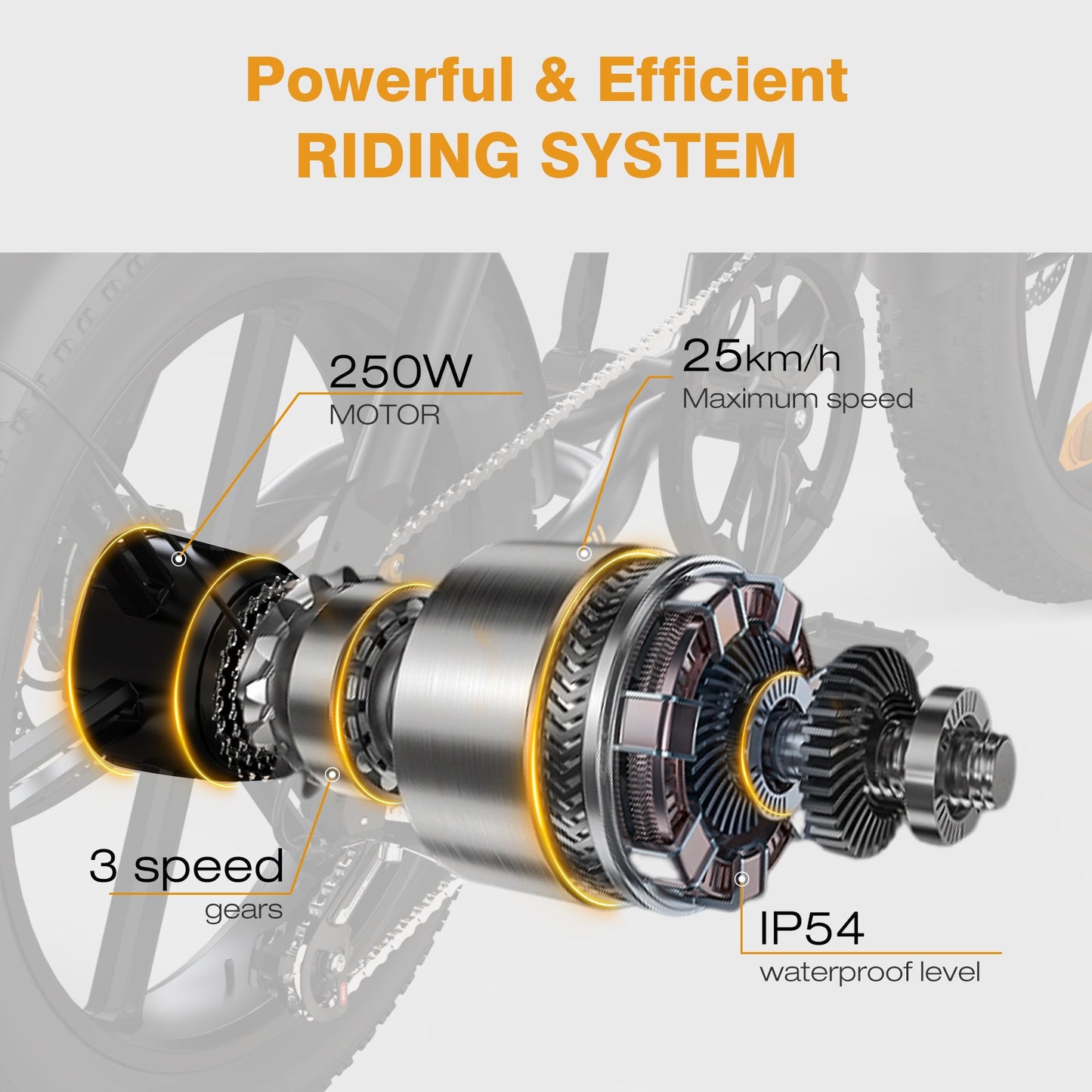 BK29S Bicicletta Elettrica a Doppia Batteria