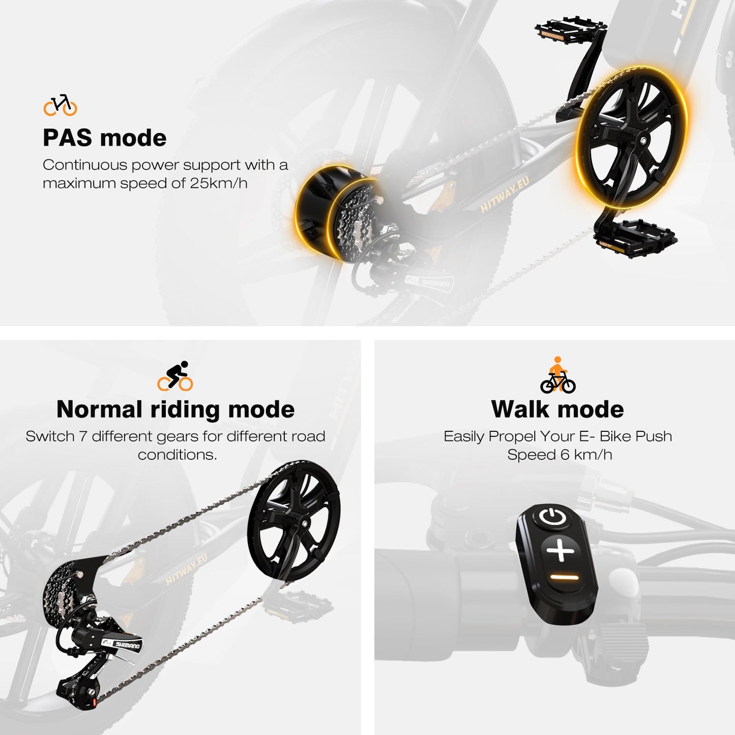 BK29S Bicicletta Elettrica a Doppia Batteria