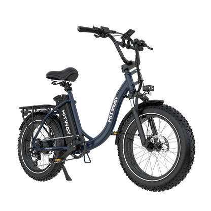 BK6S Plus Bici Elettrica Cargo