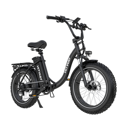 BK6S Plus Bici Elettrica Cargo