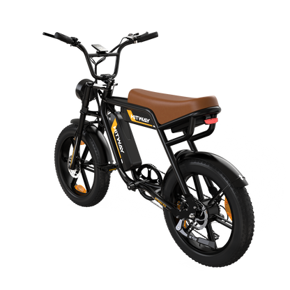 BK29S Bicicletta Elettrica a Doppia Batteria