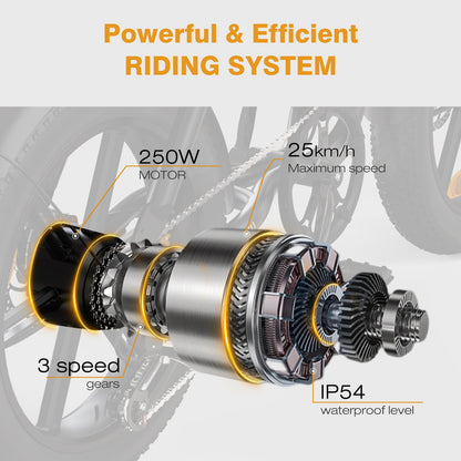 BK29S Bicicletta Elettrica a Doppia Batteria