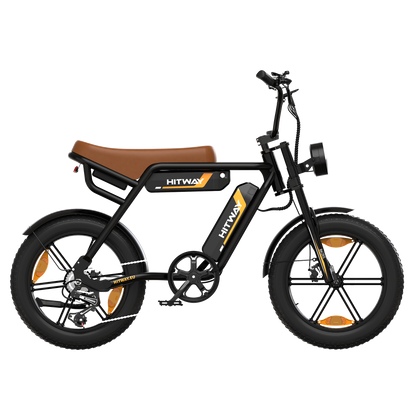 BK29S Bicicletta Elettrica a Doppia Batteria