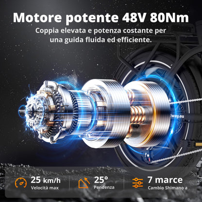 BK6S Plus Bici Elettrica Cargo