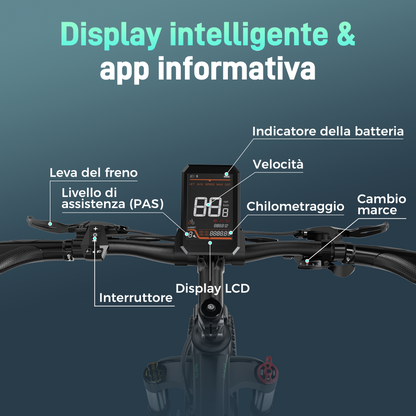 BK9S Fat bike elettrica