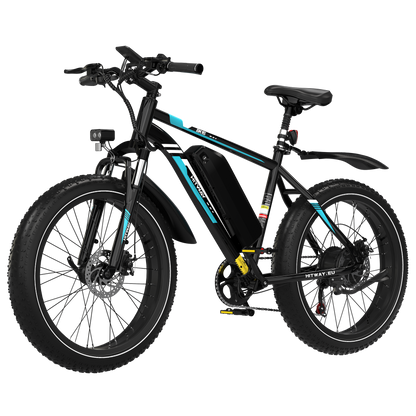 BK15 4.0 Fat bike elettrica