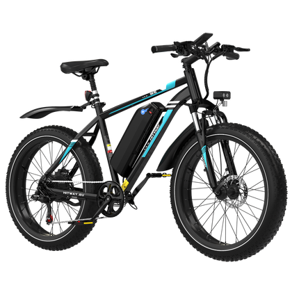 BK15 4.0 Fat bike elettrica