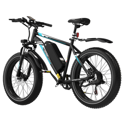 BK15 4.0 Fat bike elettrica