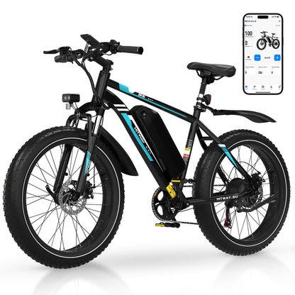 BK15 4.0 Fat bike elettrica