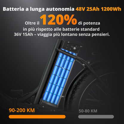 BK6S Plus Bici Elettrica Cargo