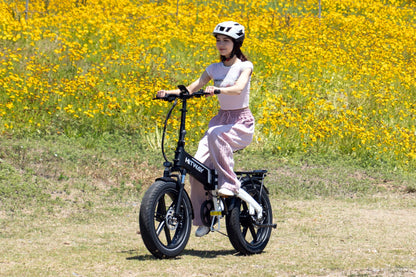 BK10S Bicicletta Elettrica Pieghevole